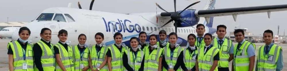 indigo airlines jobs