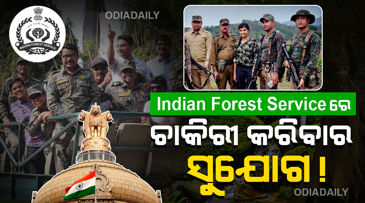 UPSC ତରଫରୁ ବାହାରିଲା ବଡଧରଣର ବିଜ୍ଞପ୍ତି ! Indian Forest Service ରେ ଚାକିରୀ କରିବା ପାଇଁ ସୁବର୍ଣ୍ଣ ସୁଯୋଗ !